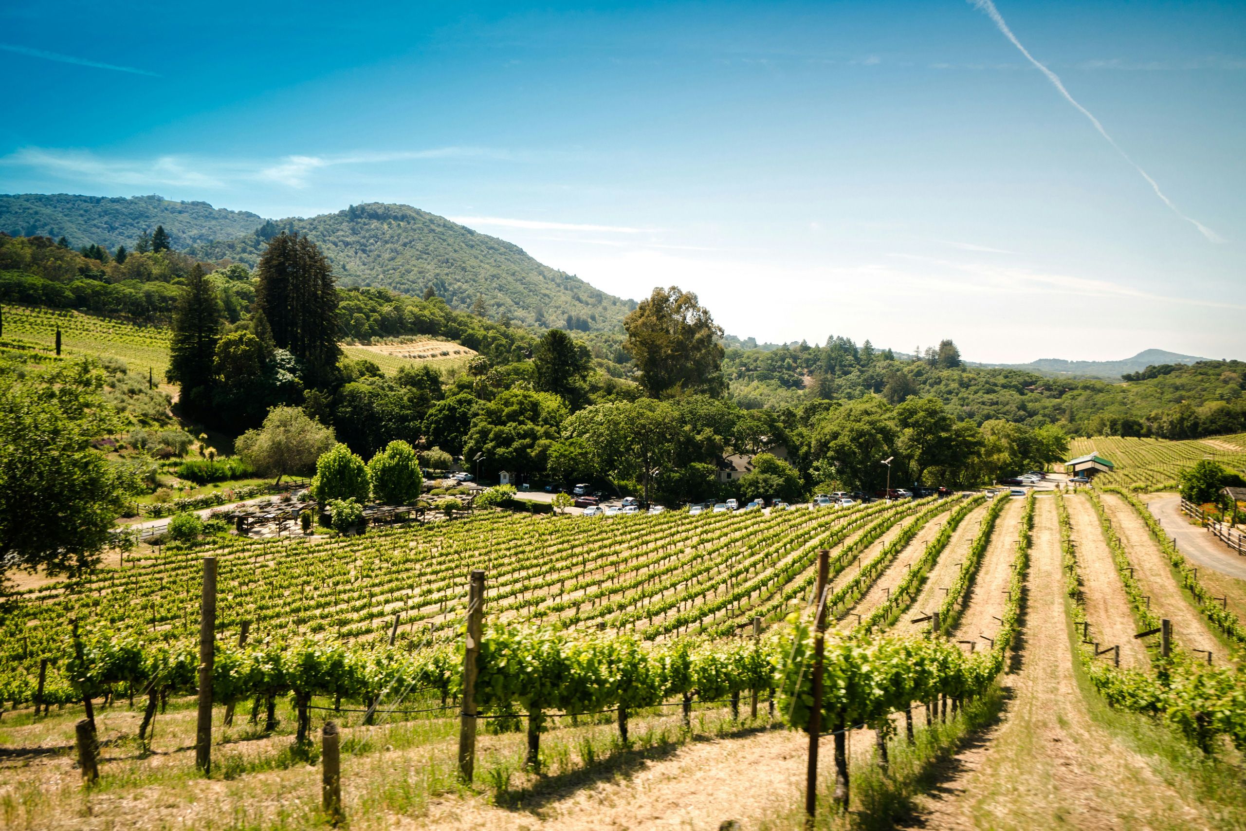 Sonoma | California