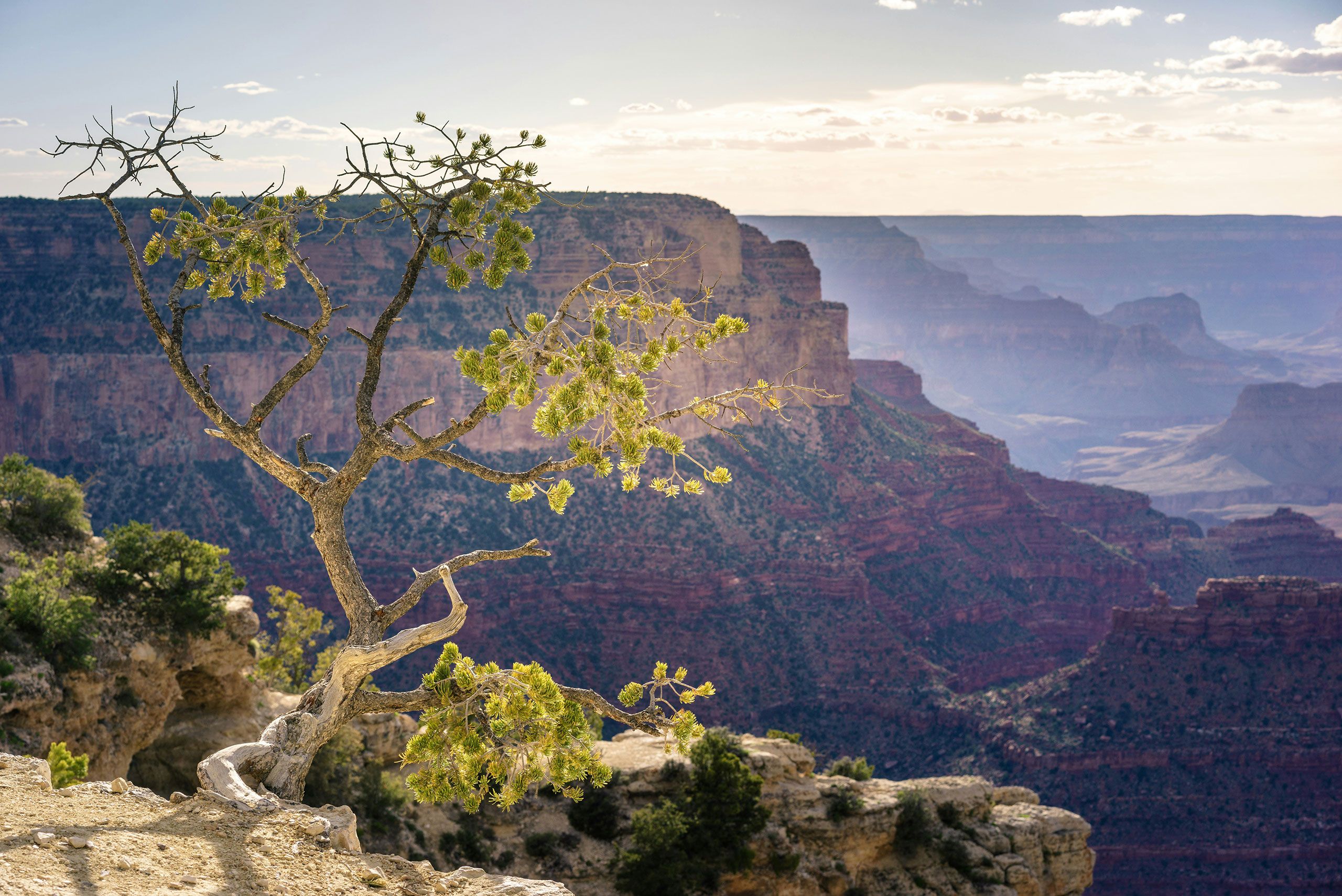 Grand Canyon | Arizona