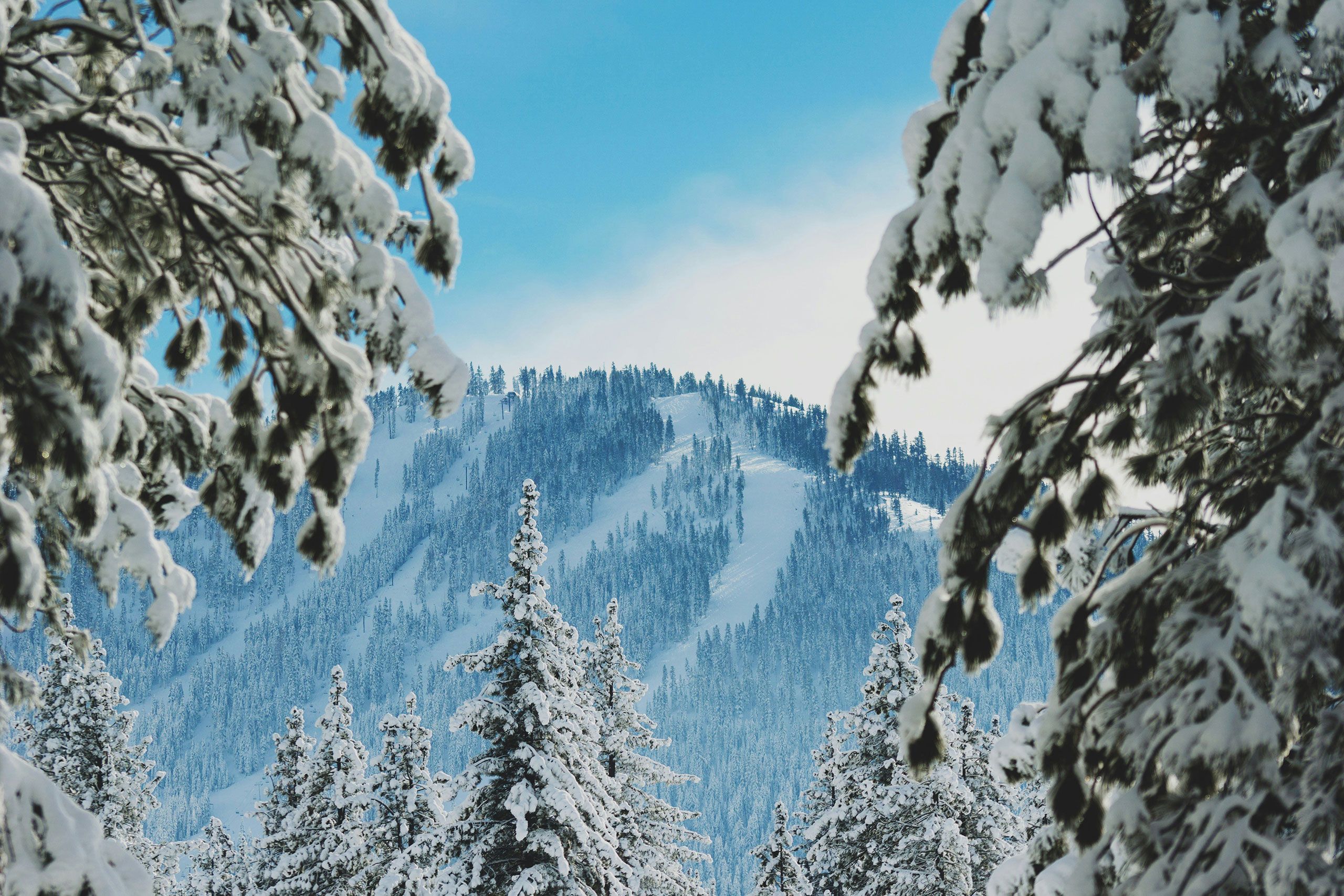 Truckee | California