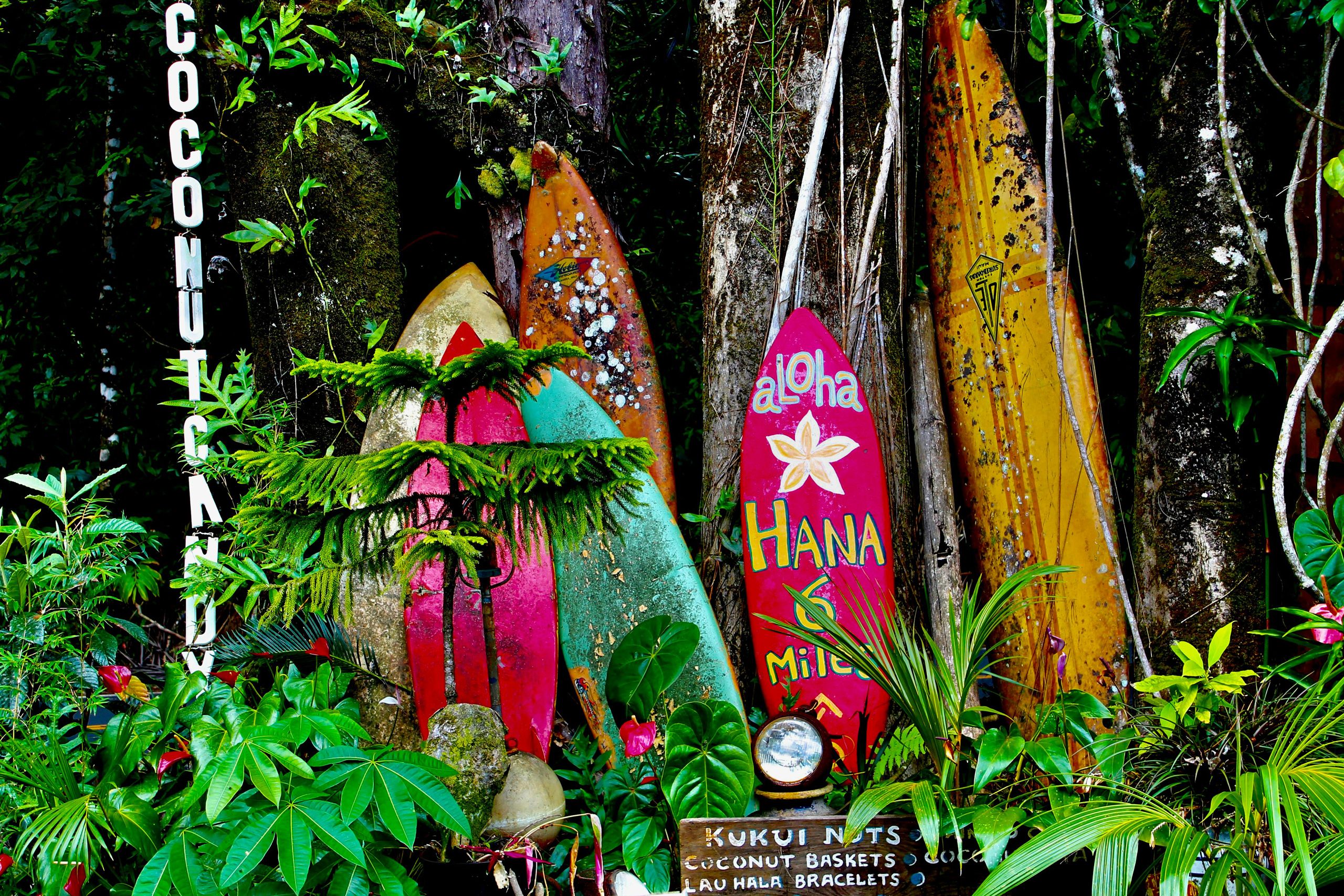 Maui | Hawaii