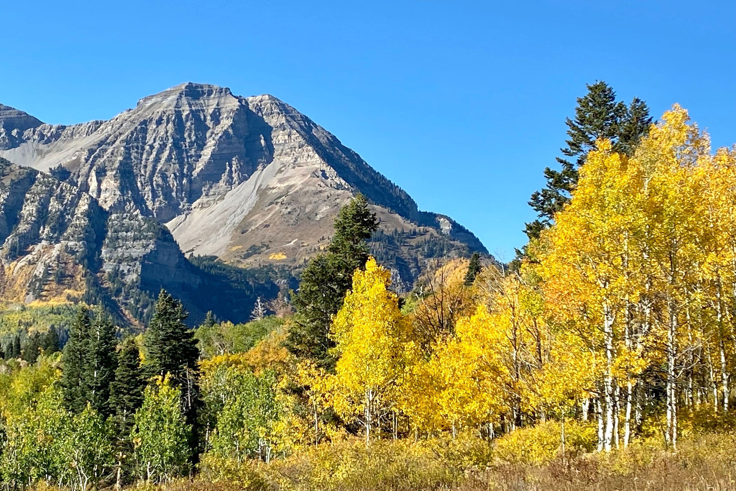 Utah | Fall Access