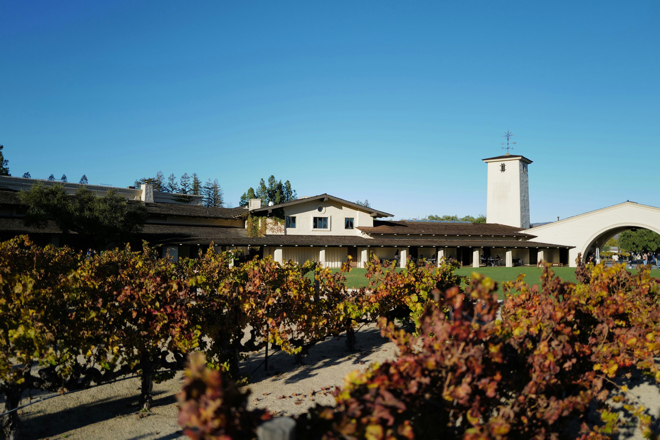 Napa | California | Vineyard
