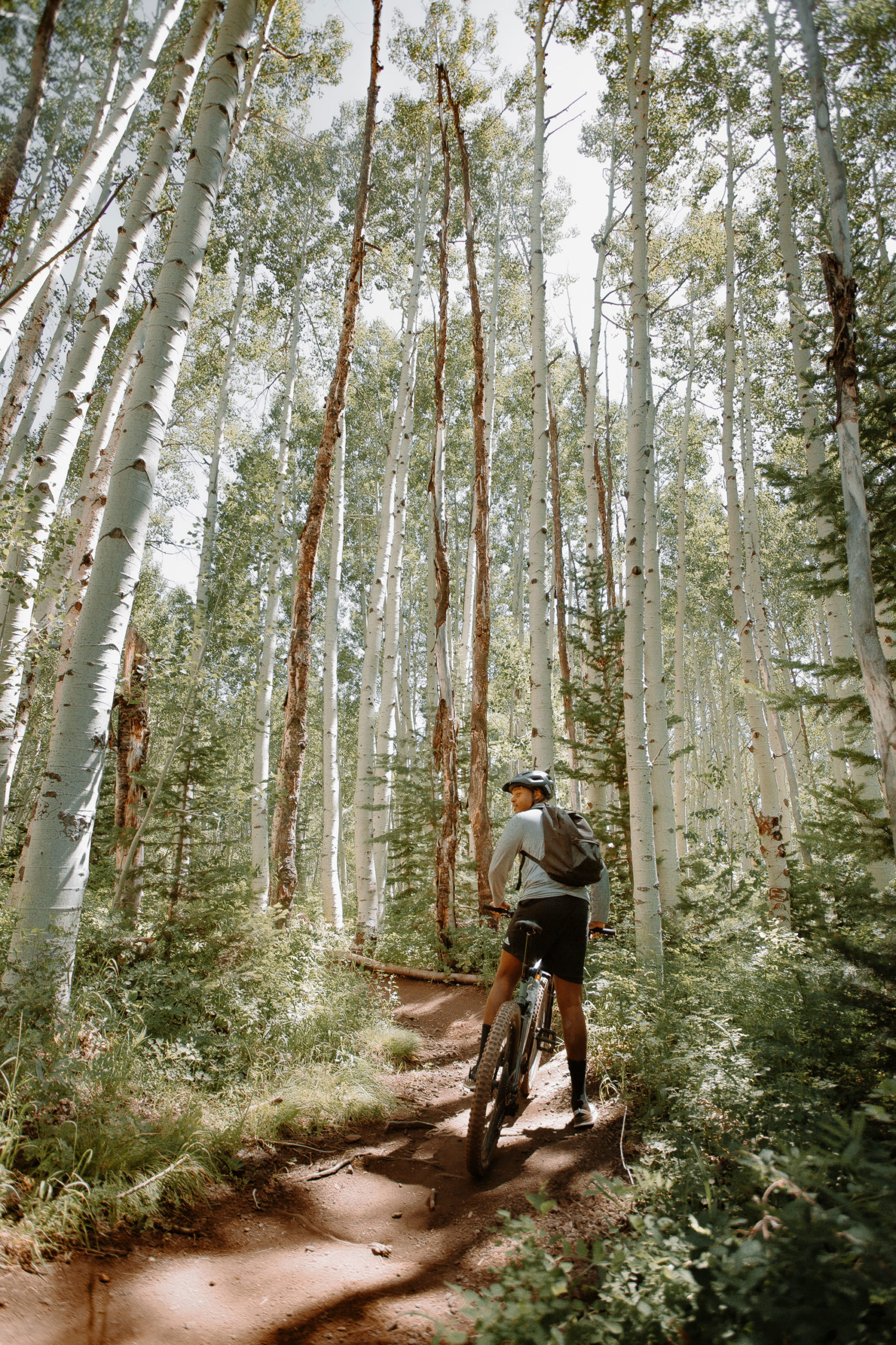 Park City Access Escapes