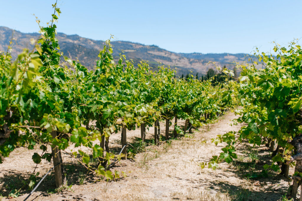 Napa Valley, CA, USA