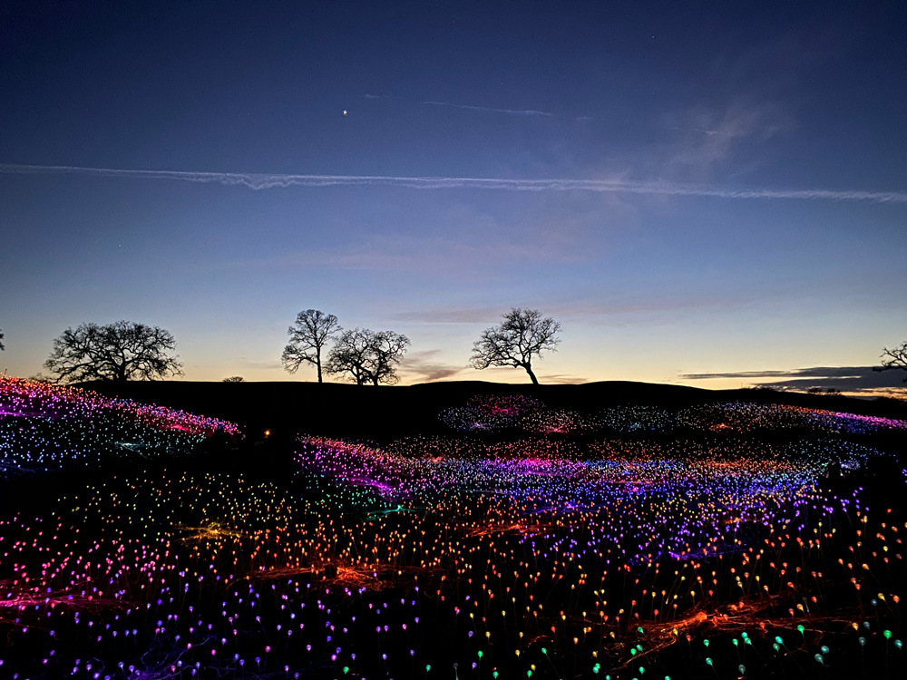 Paso Robles, the lights come up at Sensorio, one of California’s largest immersive art exhibitions.