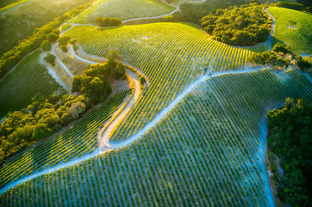 Paso Robles, CA, USA
