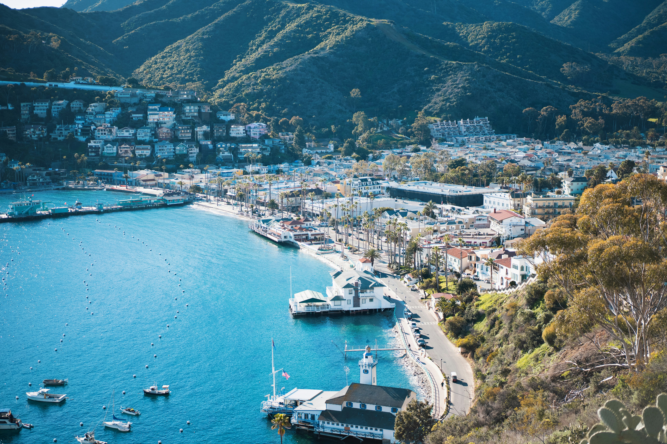 Catalina Island, California, USA