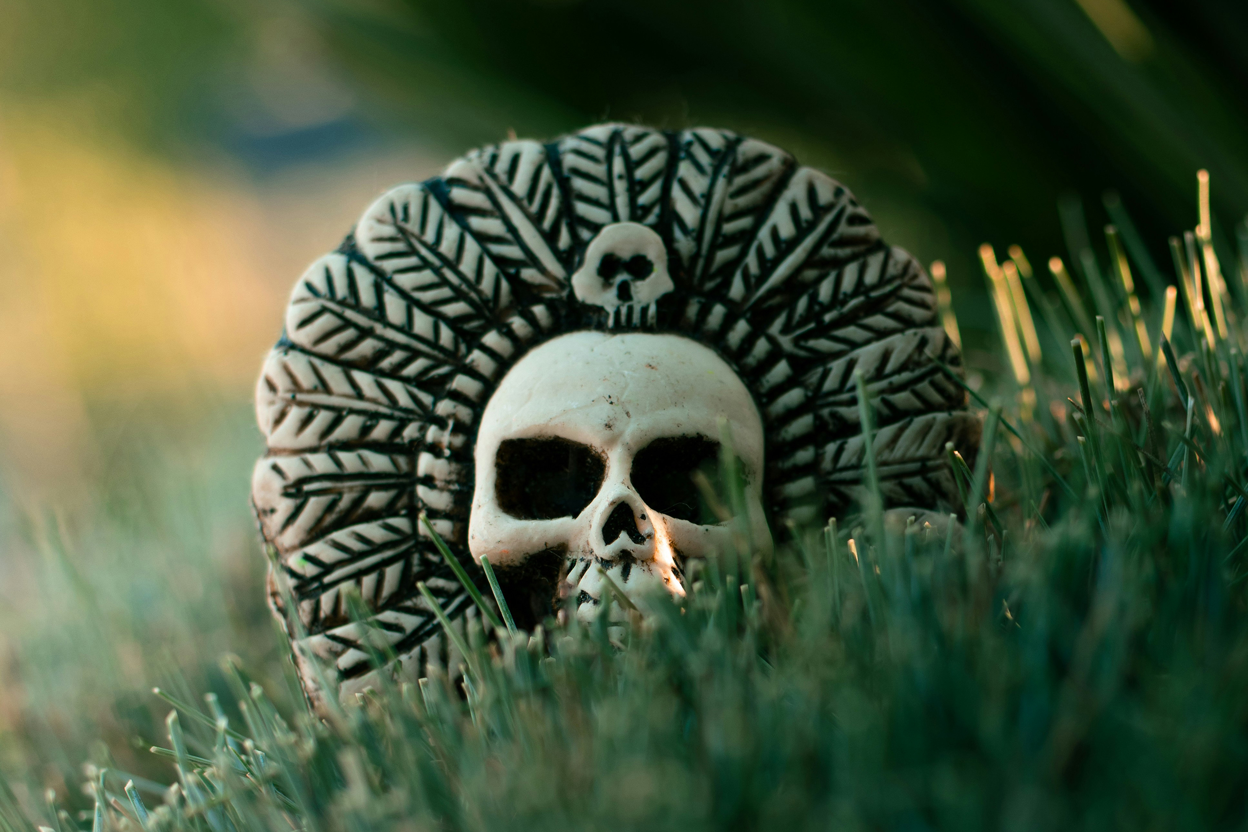 Access Escapes | Mexico