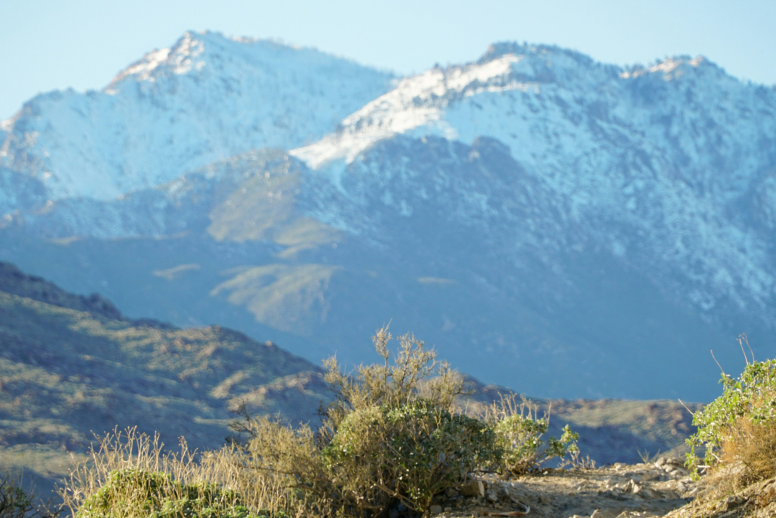 Trail in Indian Canyons near Palm Springs, CA