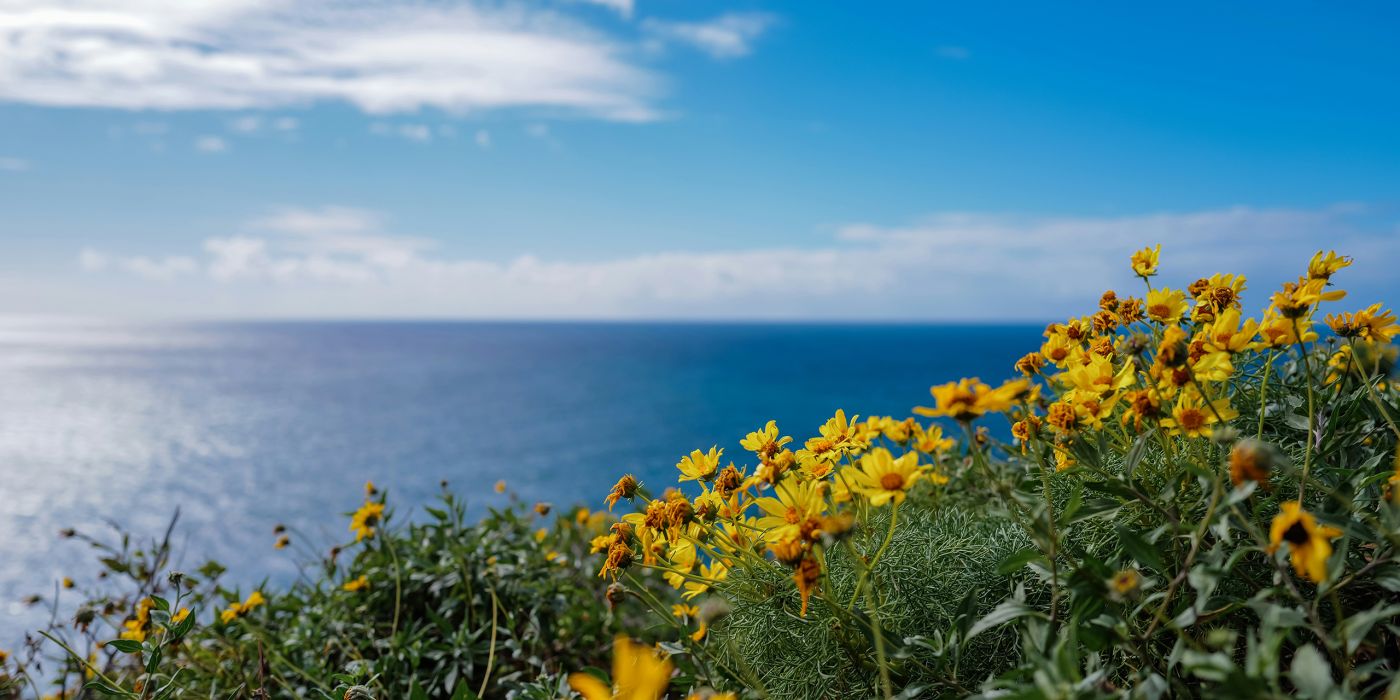 Malibu | California