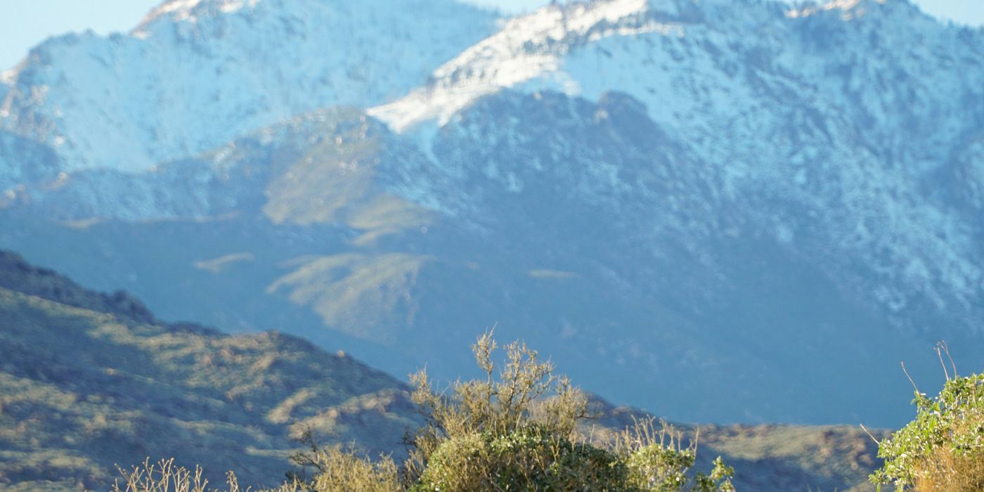 Trail in Indian Canyons near Palm Springs, CA