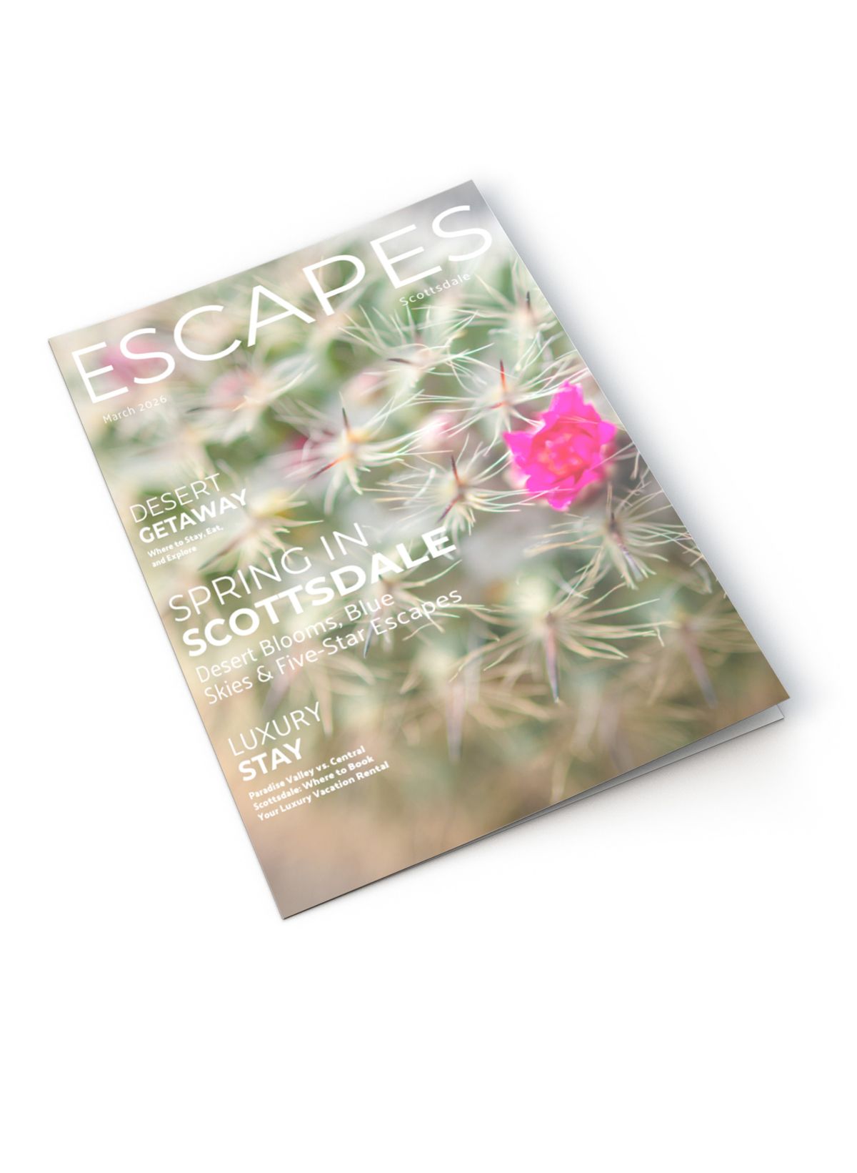 Escapes Cover (Feb)