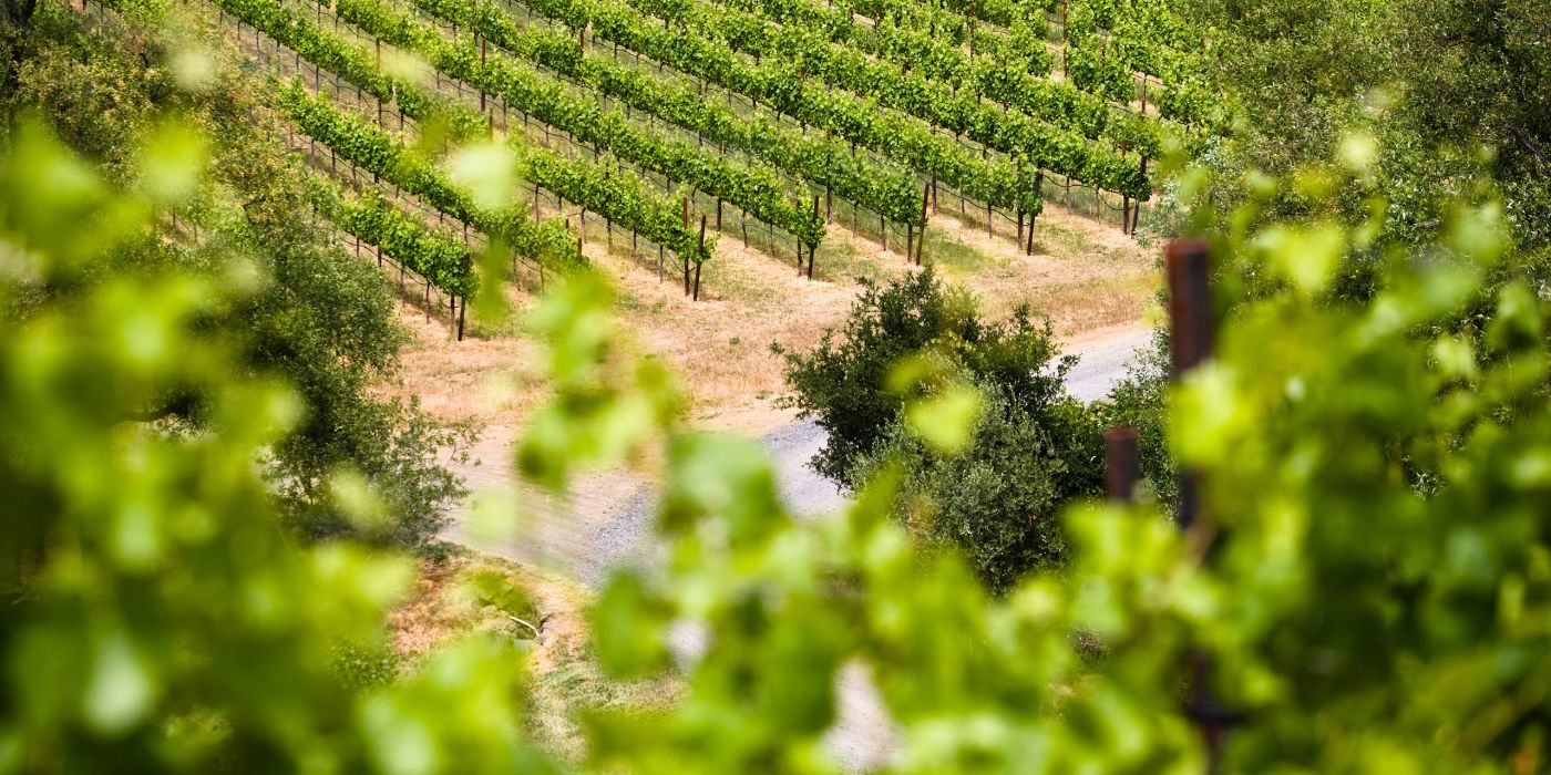 California Winery