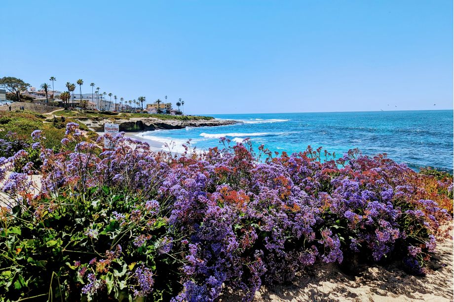 La Jolla | California