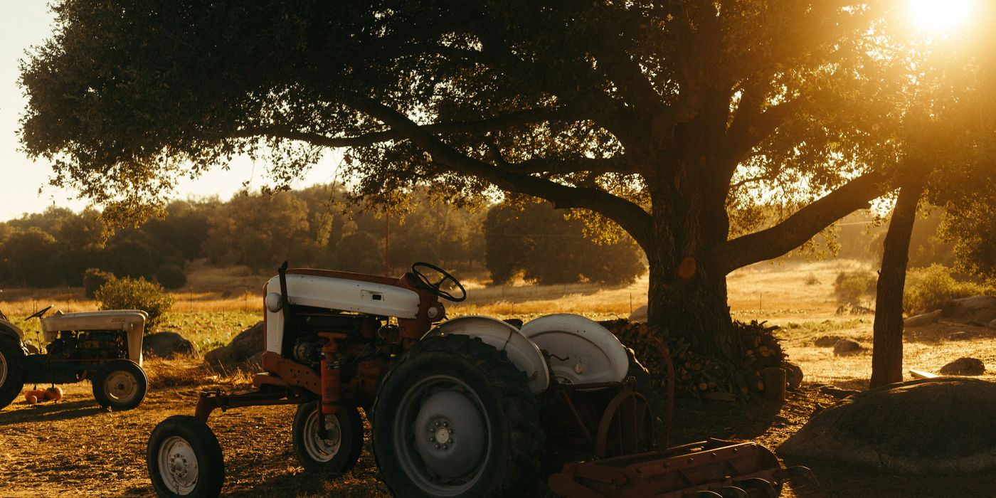 Fall | San Diego | Julian