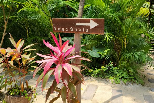 Be Tulum Hotel, Carretera Tulum-Boca Paila, Zona Hotelera Tulum