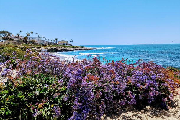 La Jolla | California