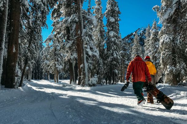 Mammoth | California