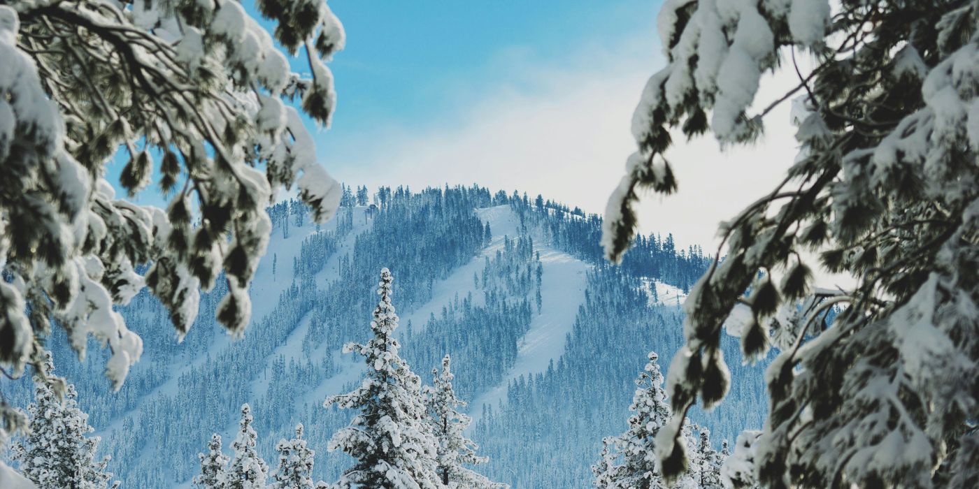 Truckee | California