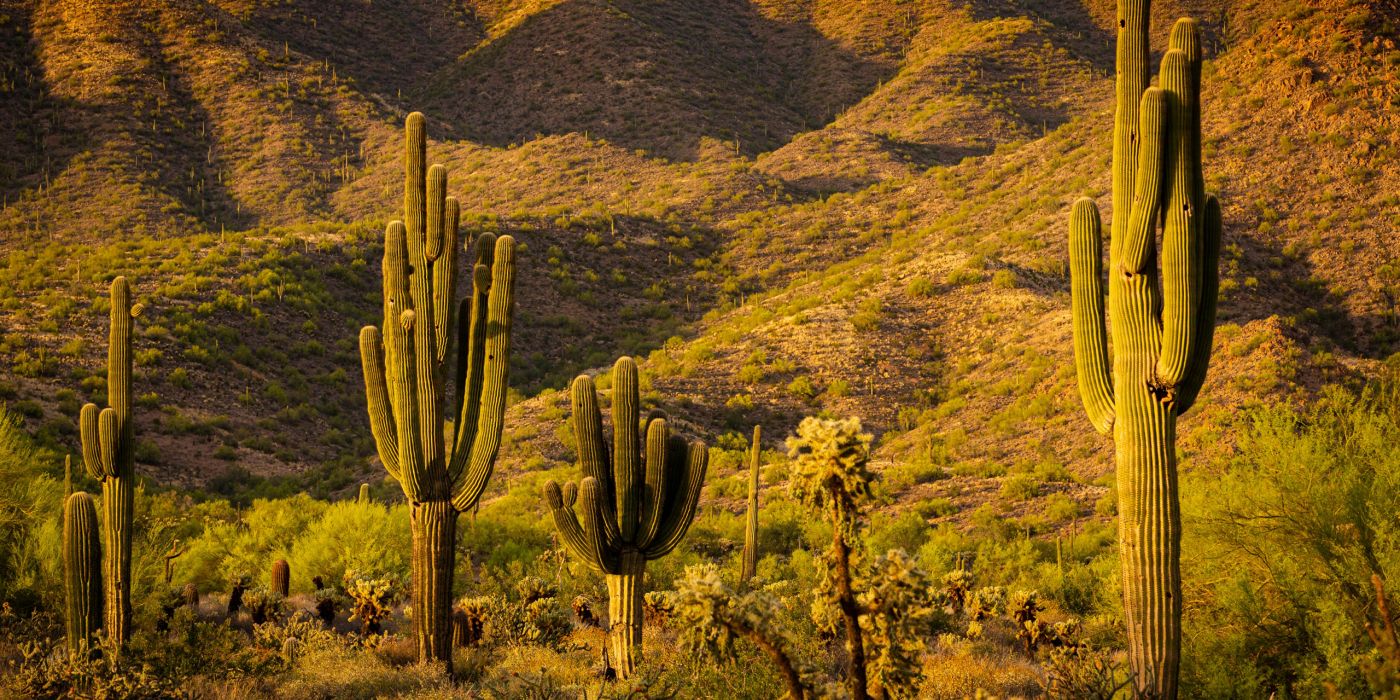 Scottsdale | Arizona