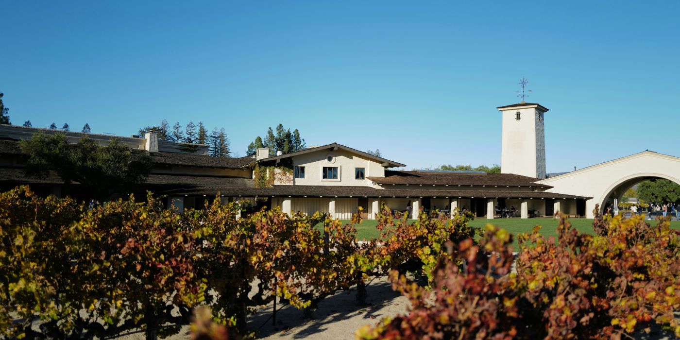 Napa | California | Vineyard