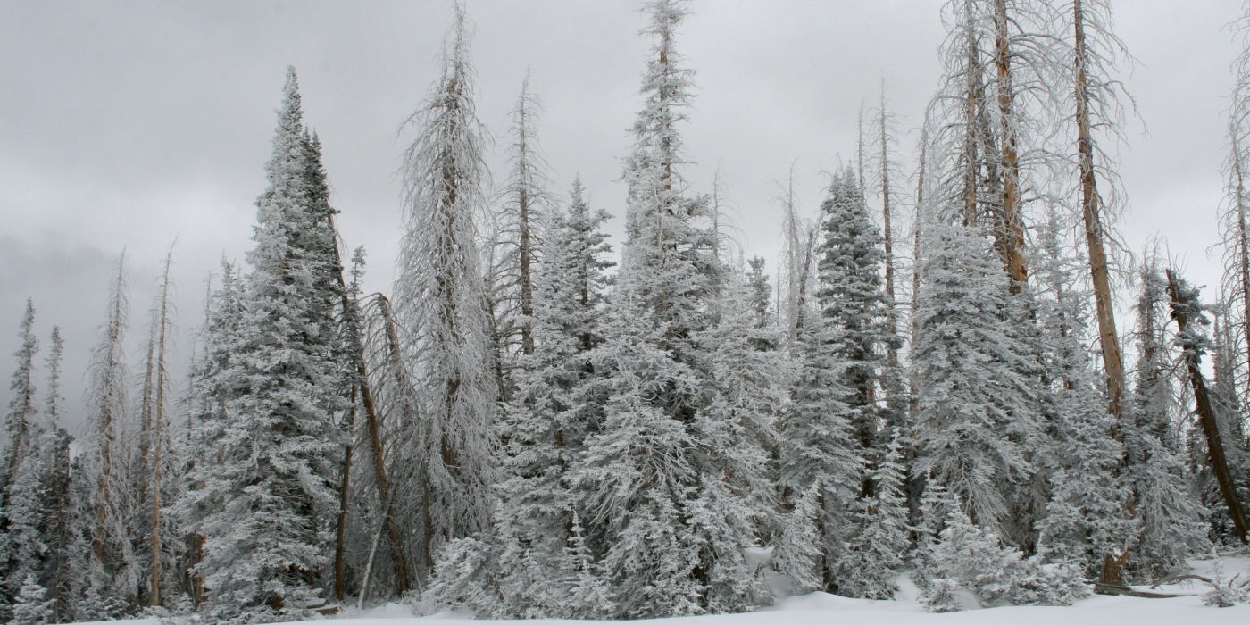 Cedar Breaks National Monument, Brian Head, United States