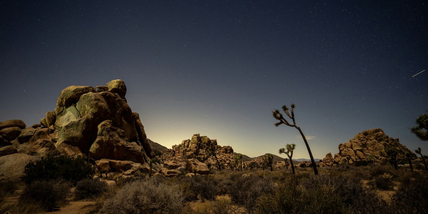 Joshua Tree, CA, USA